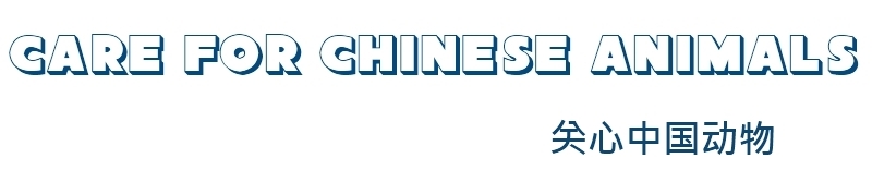 care4chineseanimlas
