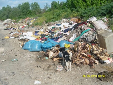 SAMSUNG DIGITAL CAMERA