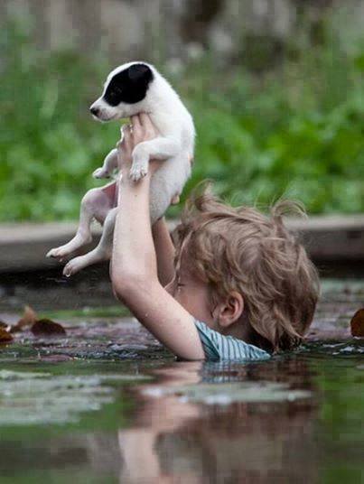 Serbia flood kid saving puppy.