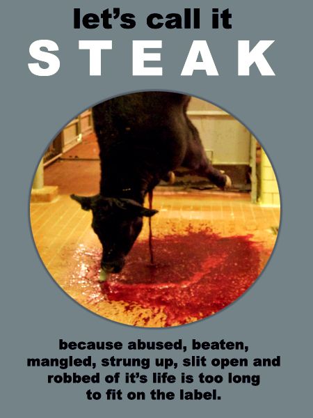 steak