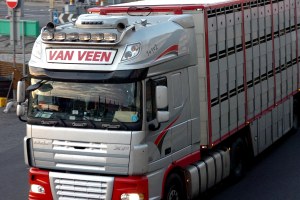 ValCameron091013_0005_7