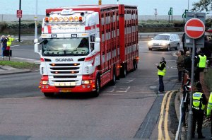 ValCameron141113_7604 _1