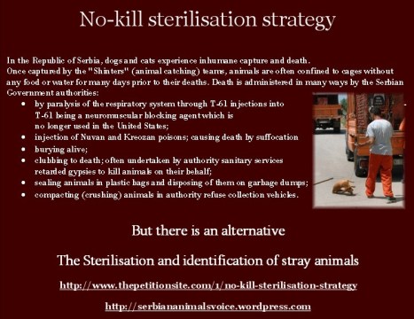 sav-no-kill-poster sav-no-kill-poster