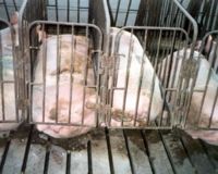 865141-1228681891-main