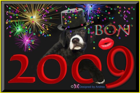 happy-new-year-2009