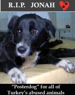 jonahposter jonahposter