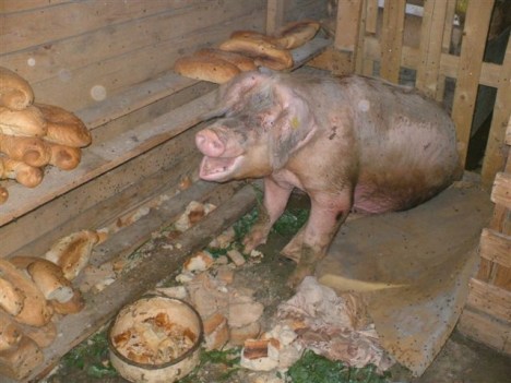 klem-smile2 klem-smile2