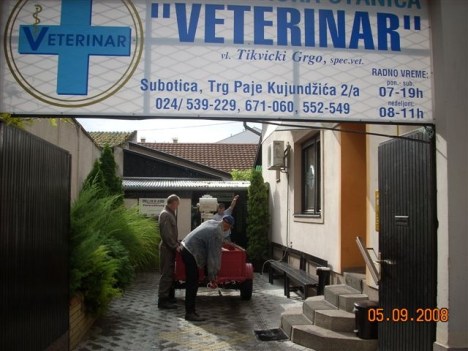 klementina2 klementina2