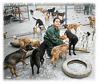 aa-comfort-for-survivors aa-comfort-for-survivors