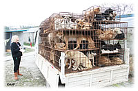 aa-first-sight aa-first-sight