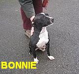 bonnie1