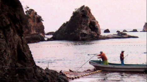 Secret Dolphin Cove in Taiji Japan, site of annual dolphin slaug