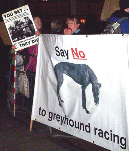 greyhound-demo-london