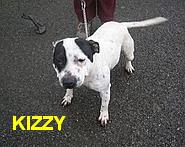 kizzy1