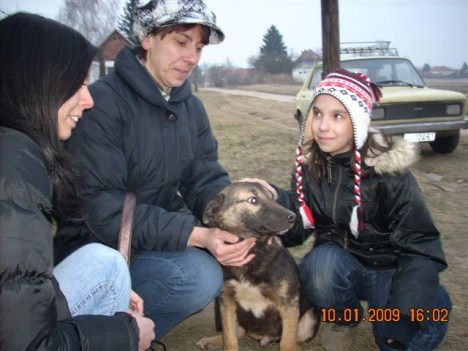 nero-adoption nero-adoption