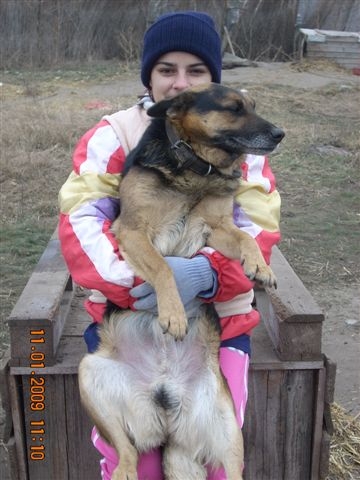 perica-now-2009 perica-now-2009