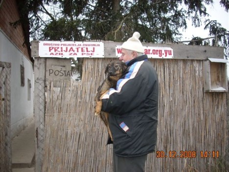 shelter-arrivals shelter-arrivals
