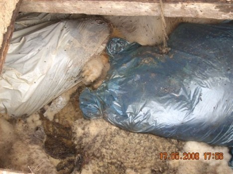 subotica-1 subotica-1