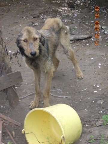 victor-may-08 victor-may-08