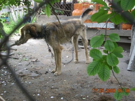 victor-pre-arrival1 victor-pre-arrival1