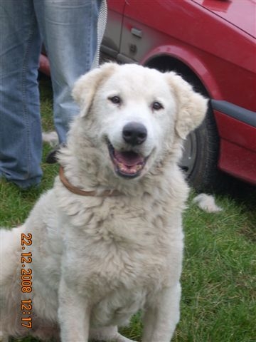 white-bundas white-bundas