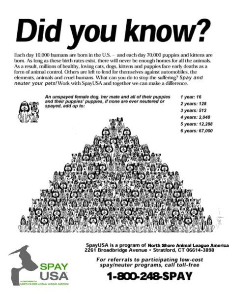 dogs_multiply_pyramid-12 dogs_multiply_pyramid-12