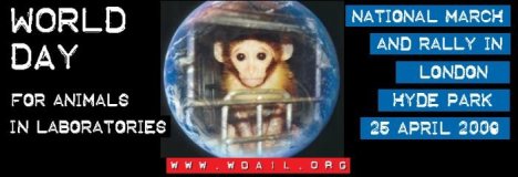 world20day20banner_700