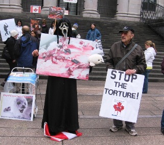 canada-demo canada-demo