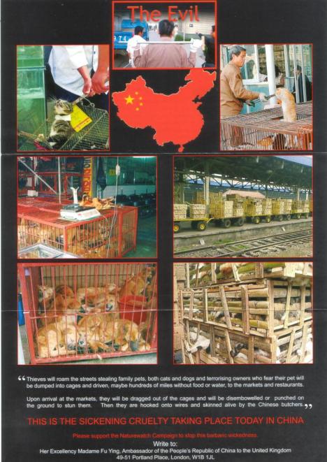 naturewatch1 naturewatch1