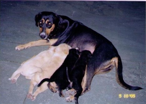 cola-and-baibiesnursing-2