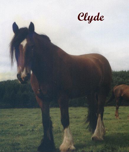 Clyde