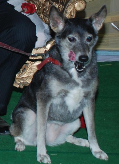 tipsy's sitting profile