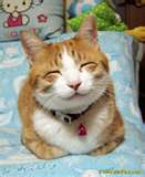 smilecat