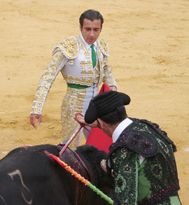 Assistant removing sword