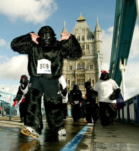 grunlondon6 grunlondon6