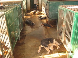 4eutanazijazivipsiposmaxb2 4eutanazijazivipsiposmaxb2