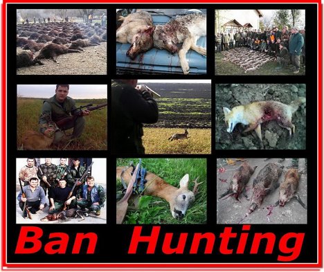 ban hunt 2.jpg ban hunt 2.jpg