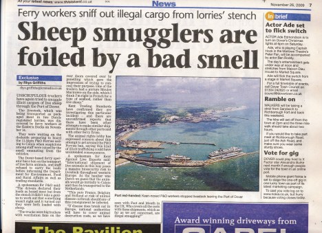 Dover Express sheep - 26 Nov