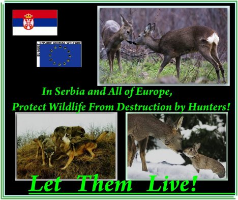 let live2.jpg let live2.jpg