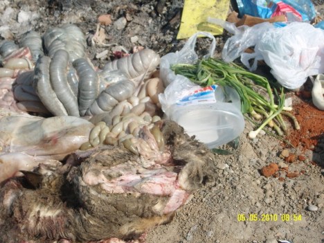 SAMSUNG DIGITAL CAMERA