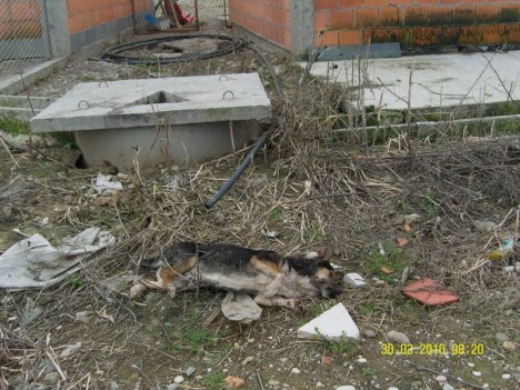 SAMSUNG DIGITAL CAMERA