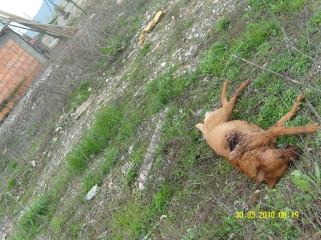 SAMSUNG DIGITAL CAMERA