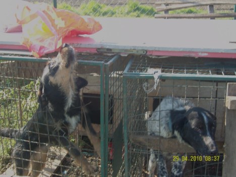 SAMSUNG DIGITAL CAMERA