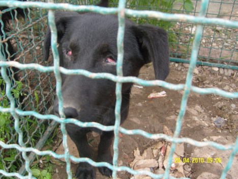 SAMSUNG DIGITAL CAMERA