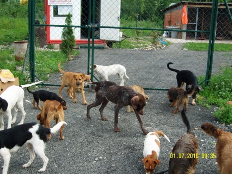 SAMSUNG DIGITAL CAMERA