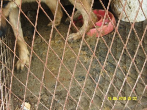 SAMSUNG DIGITAL CAMERA