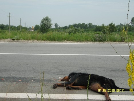 SAMSUNG DIGITAL CAMERA