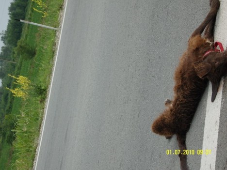 SAMSUNG DIGITAL CAMERA