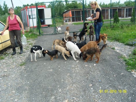 SAMSUNG DIGITAL CAMERA