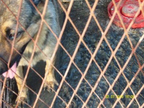 SAMSUNG DIGITAL CAMERA